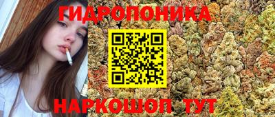 a pvp Ипатово