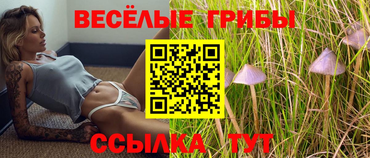 COCAIN Урус-Мартан