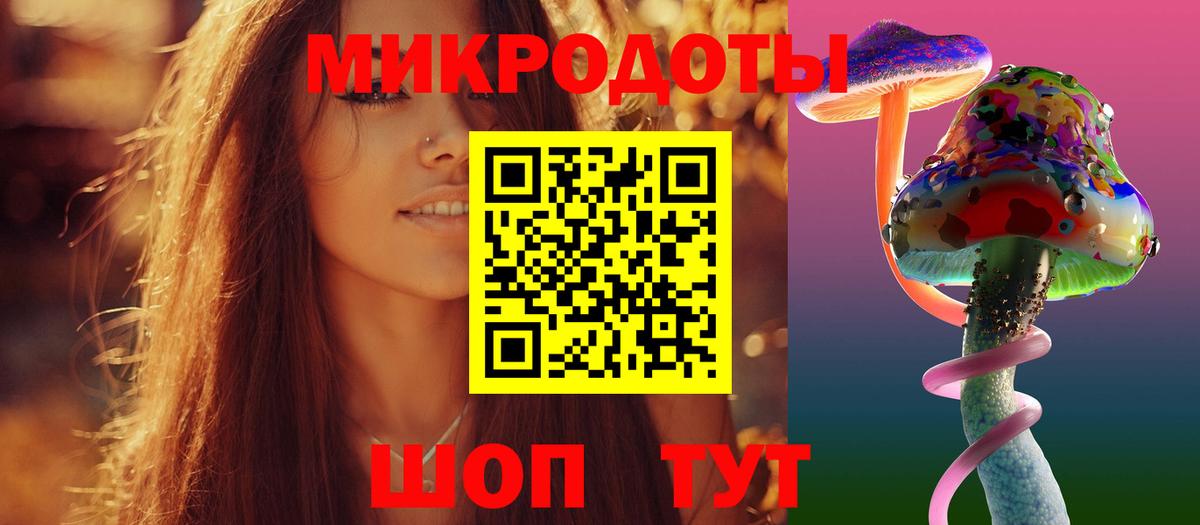 Галлюциногенные грибы Psilocybe Урус-Мартан