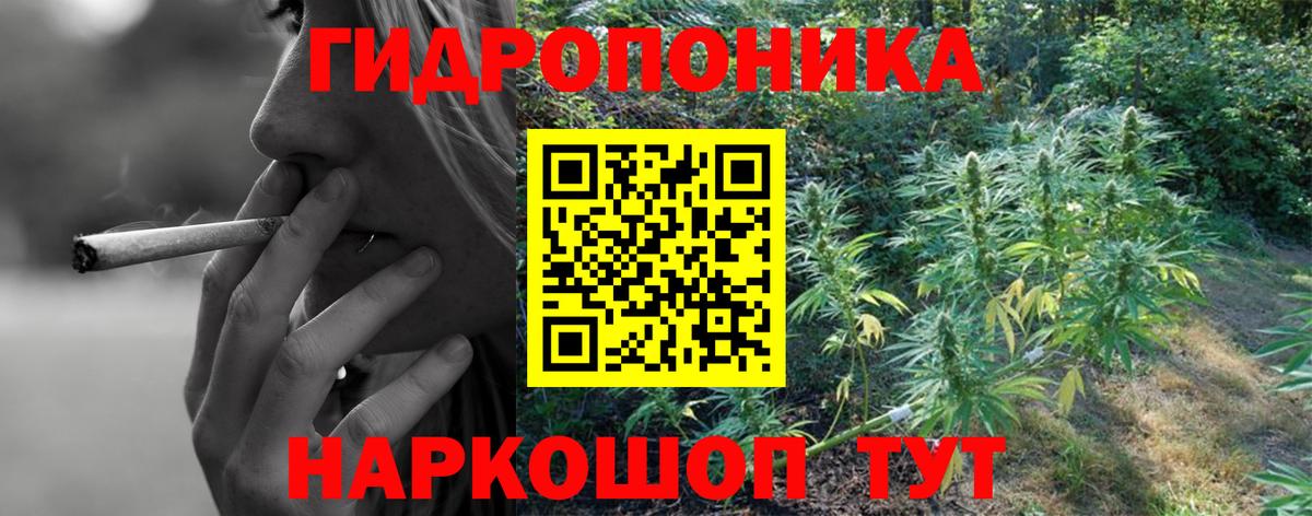 Конопля OG Kush  Марихуана марихуана  Урус-Мартан  Вход с VPN  Марихуана OG Kush 